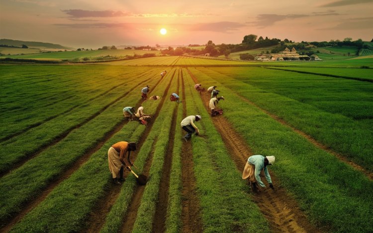 Revitalizing India's Agricultural Future